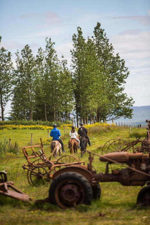 Farmhotel Efstidalur Laugarvatn Luaran gambar